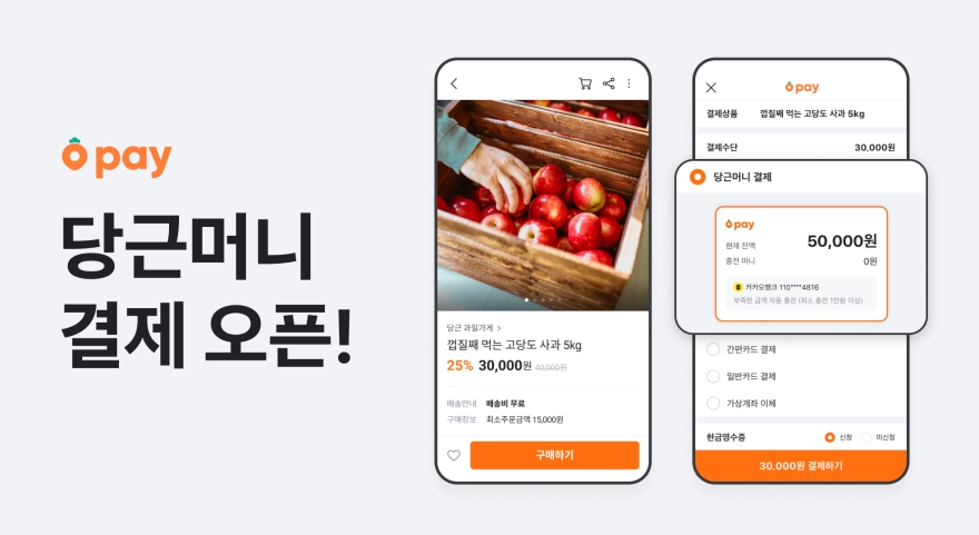 당근머니 결제 서비스의 공식 소개 이미지